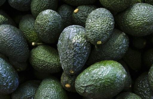 México exportará hasta 130,000 toneladas de aguacate a EE.UU. por el Super Bowl