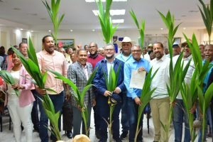 FEDA inicia Plan de Relanzamiento del sector coco