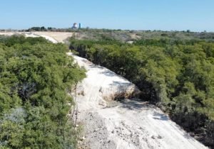 Medio Ambiente paraliza los trabajos del muro fronterizo en área protegida