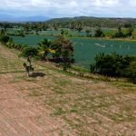 Día del Agricultor en República Dominicana, el motor silencioso del campo que alimenta al país