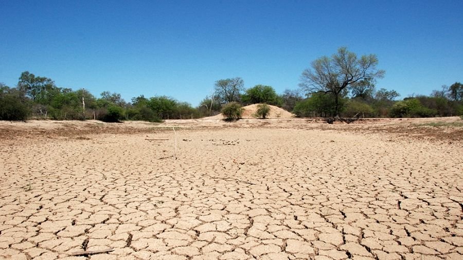 Sequía en Córdoba: «La pérdida en la producción de trigo es la más alta nunca antes registrada»