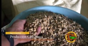 Brasil prevé su tercera mayor cosecha de café de la historia