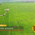Reforma fiscal del Gobierno y su impacto en el sector agropecuario dominicano