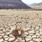 Desertificación y sequía, dos problemas ambientales convertidos en riesgos sistémicos