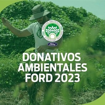 Mira cómo puedes ganar US$56,000 con proyectos comunitarios ambientales