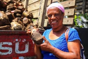 Ministerio de Agricultura inicia trabajos en zonas agropecuarias de San Pedro de Macorís