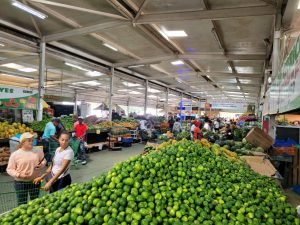 América Latina y el Caribe es «clave» para garantizar seguridad alimentaria en el mundo