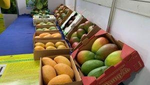 Expo Mango 2024 se celebrará hasta este domingo