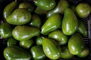 Jamaica le abre las puertas al aguacate dominicano