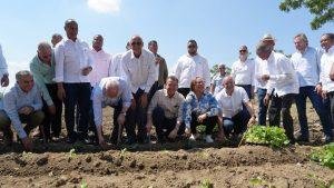 Se inicia la zafra tabacalera 2023-2024 en Villa González, Santiago