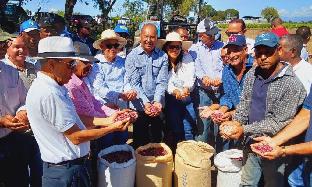 Agricultura sembrará más de 140 mil tareas de habichuelas en San Juan