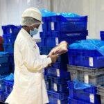 RD seguirá exportando carnes a EE. UU. tras auditoría realizada