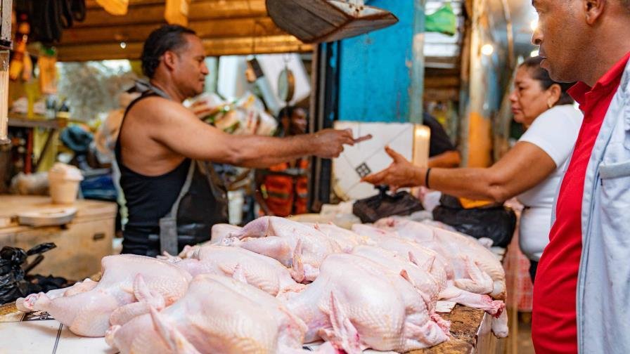 RD cuenta con una reserva estratégica de cinco millones de libras de pollo