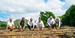 Intabaco inicia cosecha tabacalera 2025-2026 en Santiago
