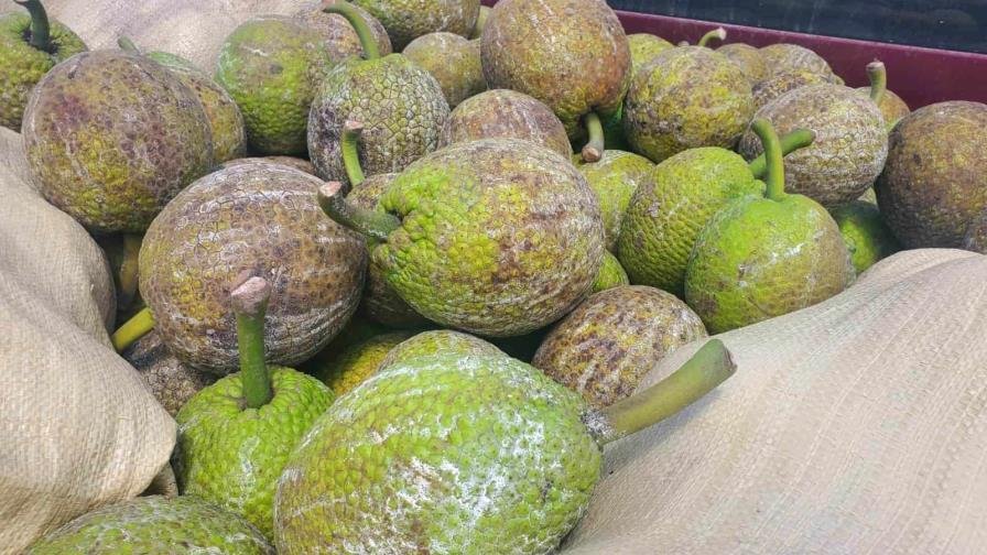 Anuncian la celebración del II Congreso y Festival de la Castaña de Masa