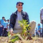 Abinader destaca avance ambiental: RD sembró más de 20 millones de plantas y superó meta 30×30