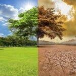 El cambio climático redefine la agricultura y obliga a transformar los sistemas de producción en el mundo